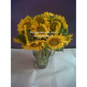 Bunga Vase Matahari Di Tangerang 085959000628 Kode:bi-bv-06