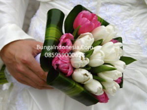 Jual Bunga Wedding Tulip Di Jakarta 085959000628 Kode : Bi-hb-59