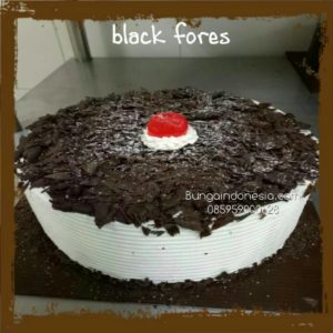 Jual Bingkisan Lebaran Cake Di Serpong Tangerang 085959000628