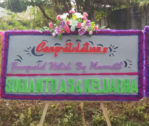 Jual Bunga Papan Congratulation Di Belitung Call Wa 085959000628