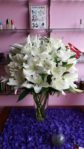 Jual Bunga Vas Lily Putih Murah Di Jakarta Timur