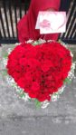 Red Rose Valentine Day